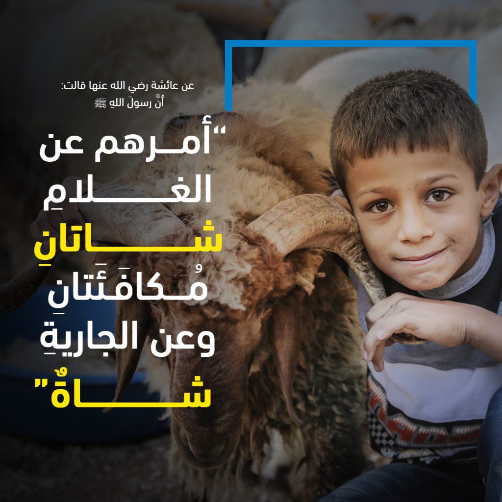 تبرع بعقيقة المولود مع الإغاثة الإسلامية